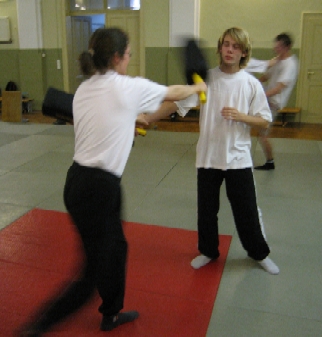 kampfsport escrima 5